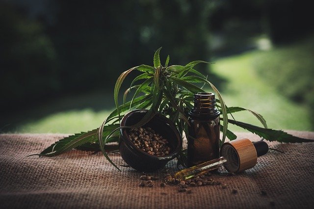 Top Premium Quality Cannabis Products: A Guide to the Best Choices