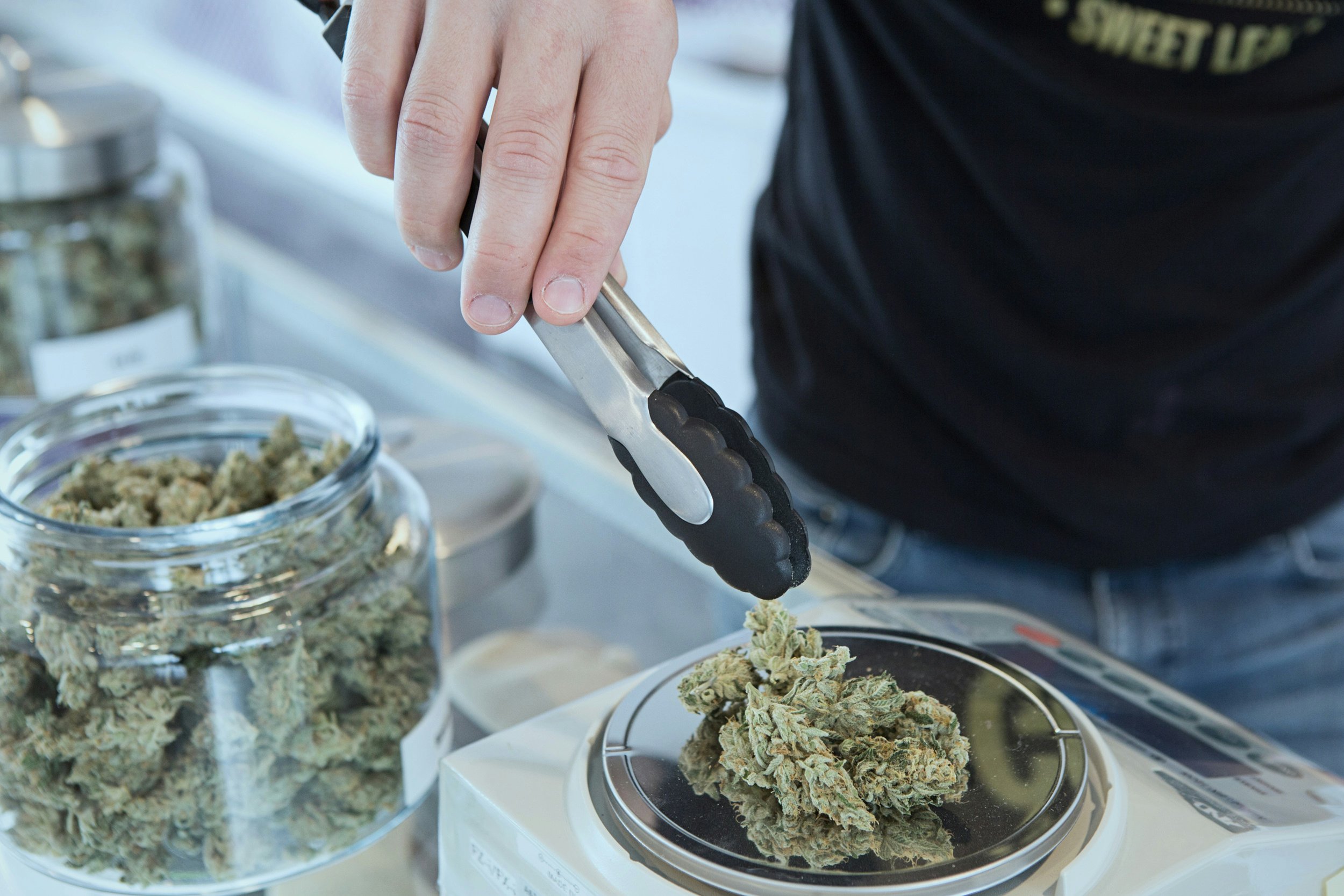 SEO for Cannabis: Can Dispensaries Ever Rank #1 on Google?