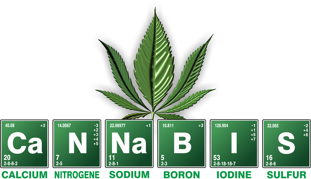 The Health and Wellness Benefits of Cannabis Products
